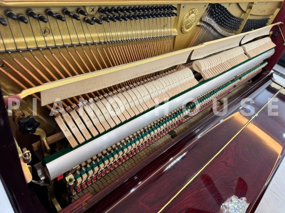 Chi tiết đàn YAMAHA MC10 BiC - Hình 4